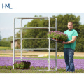 Hot Sale High Quality Plant Warehouse Greenhous Nursery Danish Outdoor Metal Flower Cart